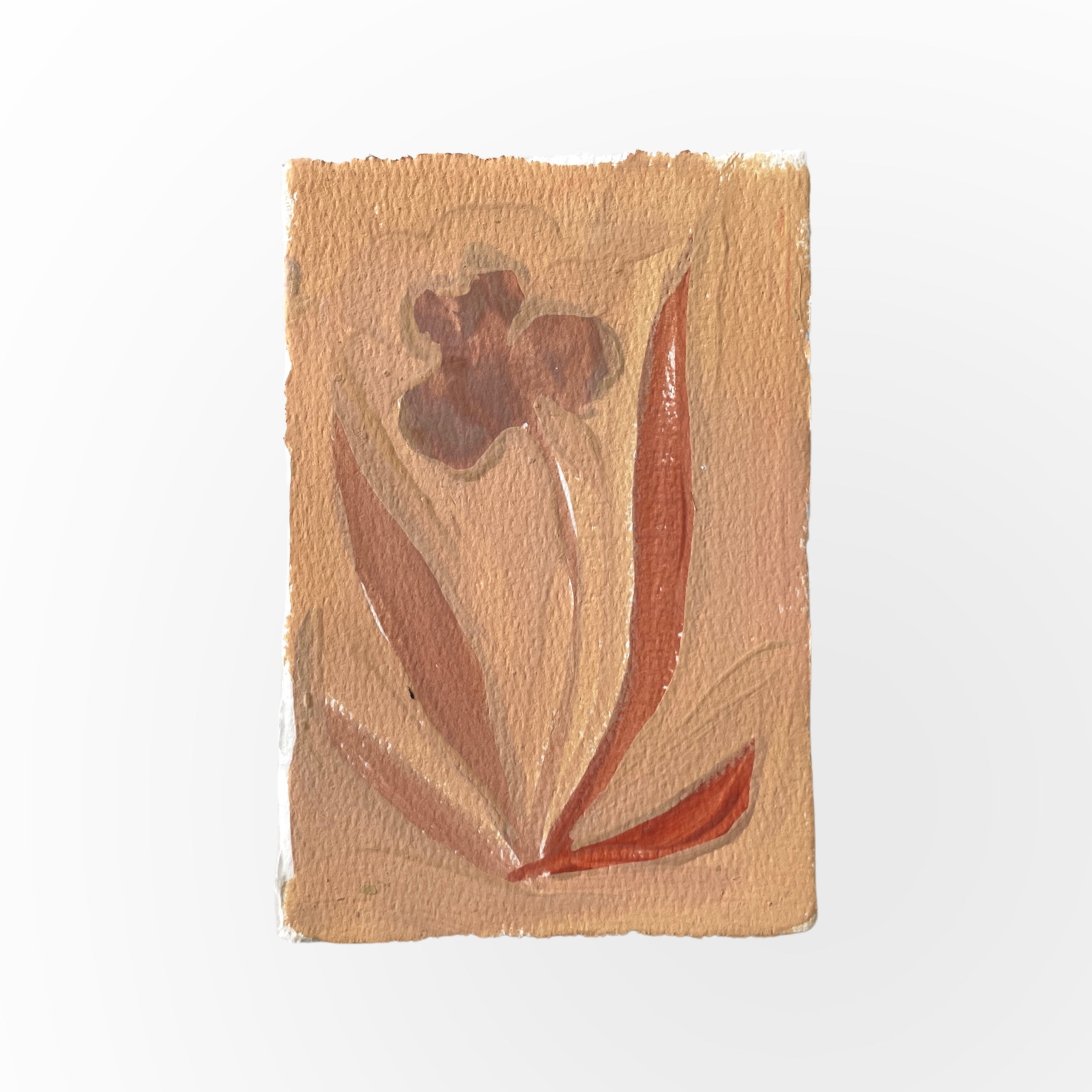 Petite Les Fleur Shelby Wimberly petite-les-fleur-shelby-wimberly